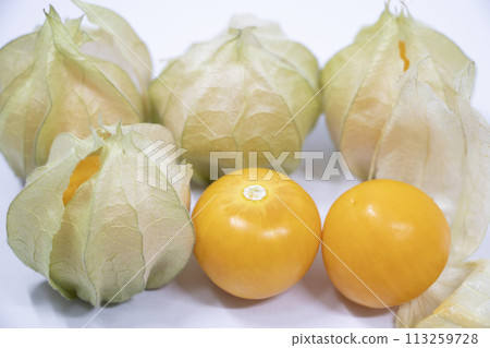 Edible Ground Cherry Goldenberry Edible Ground Cherry Goldenberry 113259728
