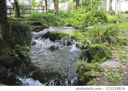 白瀧公園/靜岡縣三島市一番町1 113259824