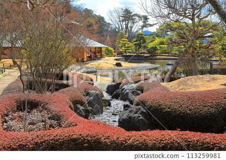 水樂園(有池塘和散步風格的日式花園) 水樂園(有池塘和散步風格的日式花園) 113259981