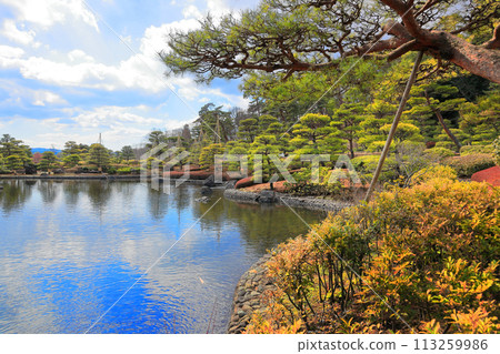 水樂園(有池塘和散步風格的日式花園) 水樂園(有池塘和散步風格的日式花園) 113259986