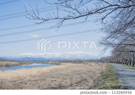 Niigata Kaji River Embankment (Shibata City) 113260456