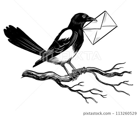 Magpie with letter. Hand drawn retro styled black and white illustration 113260529