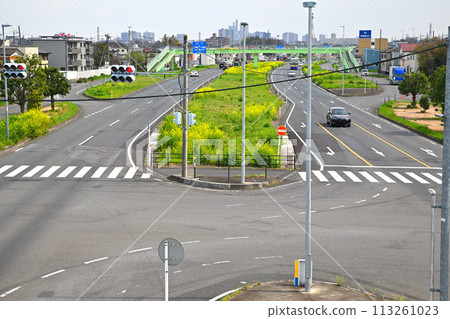 Rapeseed field, Ageo Road, view from Aozora Bridge pedestrian bridge Rapeseed field, Ageo Road, view from Aozora Bridge pedestrian bridge 113261023