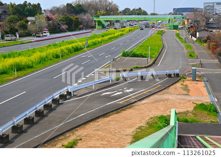 Rapeseed field, Ageo Road, view from Aozora Bridge pedestrian bridge 113261025