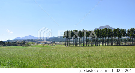 從「農場的櫻花」看到的霧島連峰 113261204