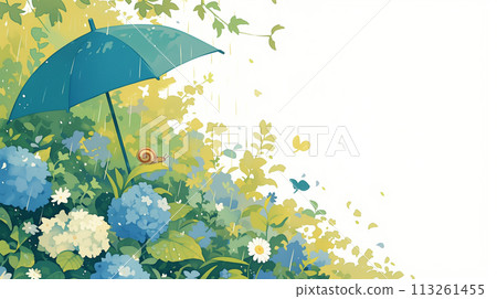 繡球花背景框 113261455