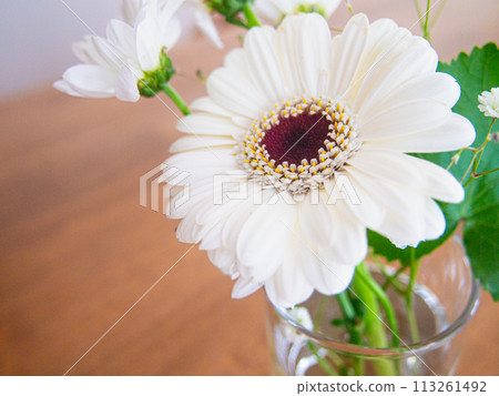 室內綠色花束 113261492