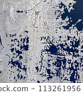 牆： 垃圾 113261956