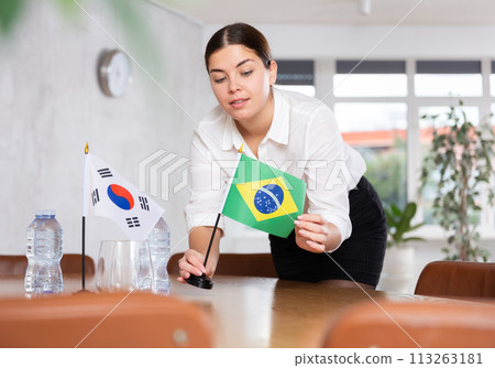 Businesswoman arranging the flags of South Korea and Brazilia for presentation and negotiations Businesswoman arranging the flags of South Korea and Brazilia for presentation and negotiations 113263181
