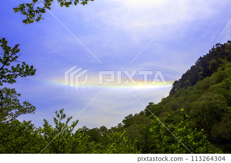 Fresh greenery and the circumhorizontal arc Fresh greenery and the circumhorizontal arc 113264304