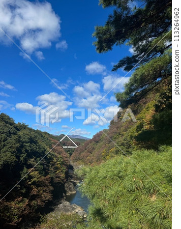 Takatsudo Gorge, a bridge spanning a valley 113264962
