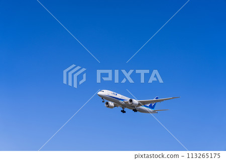 《Airplane》Boeing 787 > 787-8 Dreamliner (All Nippon Airways) 113265175