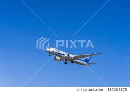 《Airplane》Boeing 787 > 787-8 Dreamliner (All Nippon Airways) 113265176