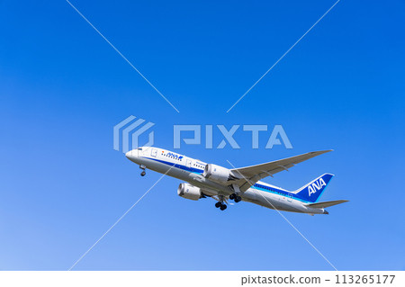 《Airplane》Boeing 787 > 787-8 Dreamliner (All Nippon Airways) 113265177