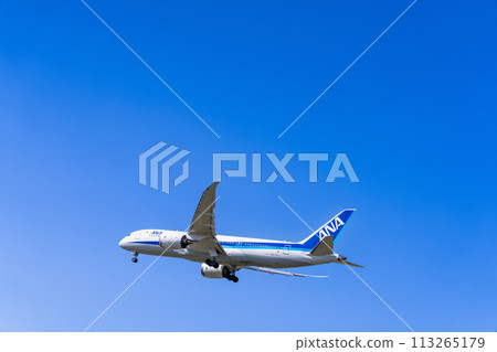 《Airplane》Boeing 787 > 787-8 Dreamliner (All Nippon Airways) 113265179