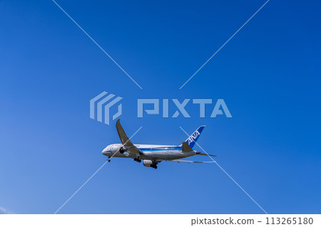 《飛機》Boeing 波音 787 > 787-8 夢幻客機 (全日空) 《飛機》Boeing 波音 787 > 787-8 夢幻客機 (全日空) 113265180