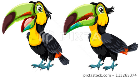 Colorful Toucans in Vector Art Style 113265374