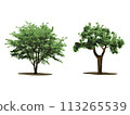 Tree tree set 113265539