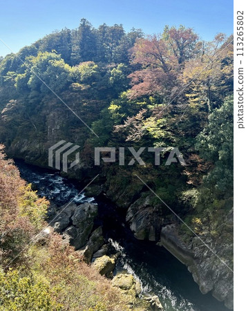 Valley dyed in autumn leaves Valley dyed in autumn leaves 113265802