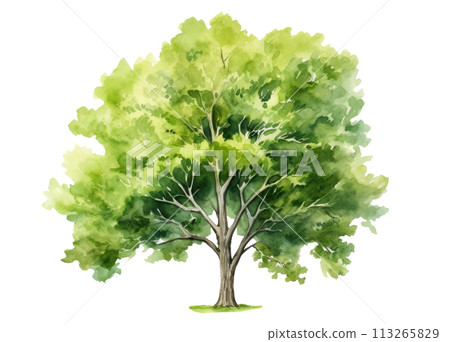 Watercolor Green Tree, Generative AI 113265829