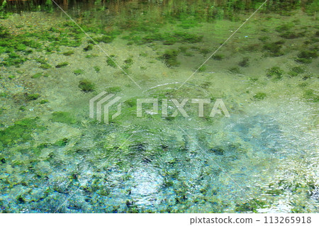 The famous Shirakawa River source The famous Shirakawa River source 113265918