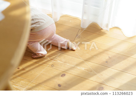 嬰兒在地板上爬行 113266023