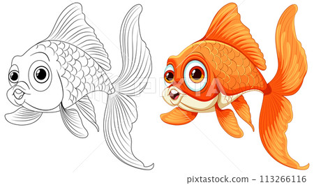 Colorful Goldfish Illustration Before and After 113266116