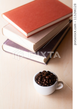 書籍 書籍 書籍閱讀/書籍咖啡館 113266128