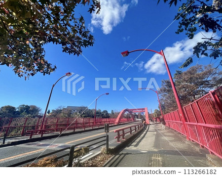 高津戶峽谷紅橋高津戶橋 113266182