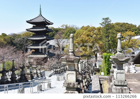 View of the five-story pagoda from the high grounds of Koshoji Temple View of the five-story pagoda from the high grounds of Koshoji Temple 113266266