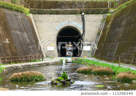 Takamori春天春天隧道公園 113266349