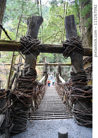 Iya's Kazura Bridge: vertical composition Iya's Kazura Bridge: vertical composition 113267092