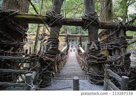 Kazura Bridge in Iya Kazura Bridge in Iya 113267139