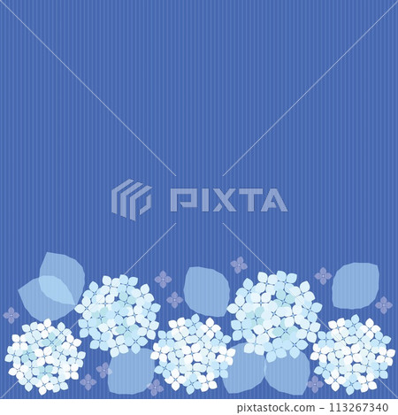 Hydrangea stripe frame white light blue 113267340