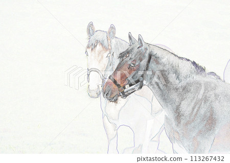 柔和風格的「兩匹馬」插畫影像 113267432