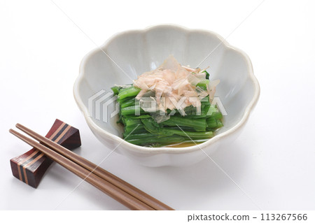 菠菜 113267566