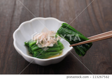 菠菜 113267582