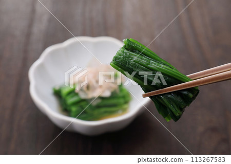菠菜 113267583