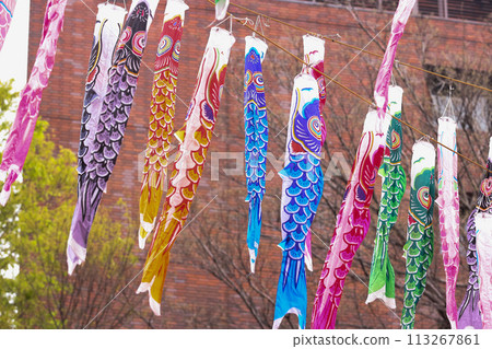 [May] 333 carp streamers at Tokyo Tower 113267861