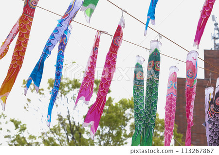 [May] 333 carp streamers at Tokyo Tower 113267867
