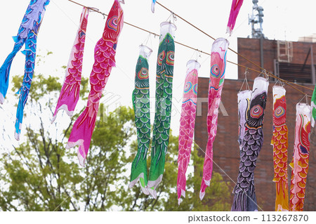 [5月]東京鐵塔333面鯉魚旗 113267870