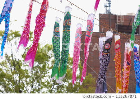 [May] 333 carp streamers at Tokyo Tower 113267871