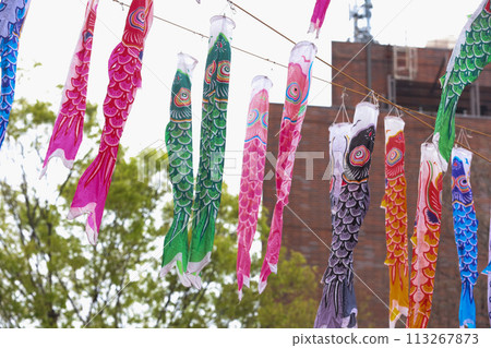 [May] 333 carp streamers at Tokyo Tower 113267873