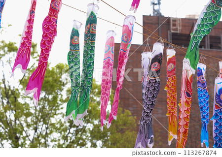 [May] 333 carp streamers at Tokyo Tower 113267874