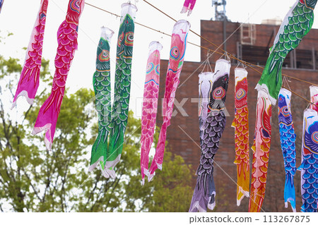 [5月]東京鐵塔333面鯉魚旗 113267875