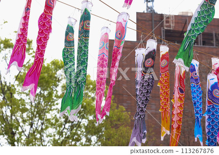 [May] 333 carp streamers at Tokyo Tower 113267876