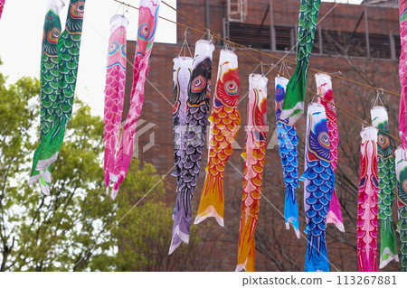 [5月]東京鐵塔333面鯉魚旗 113267881