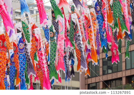 [May] 333 carp streamers at Tokyo Tower 113267891