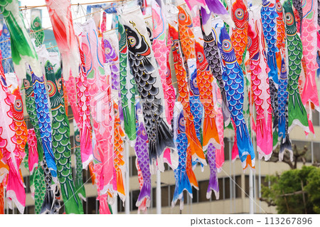 [5月]東京鐵塔333面鯉魚旗 113267896