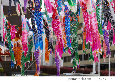 [May] 333 carp streamers at Tokyo Tower 113267902